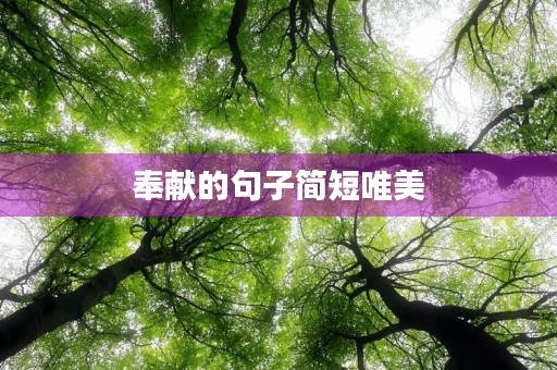 奉献的句子简短唯美(奉献的句子简短唯美四字) 奉献的句子简短唯美(奉献的句子简短唯美四字)