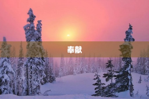 奉献，成就美好人生