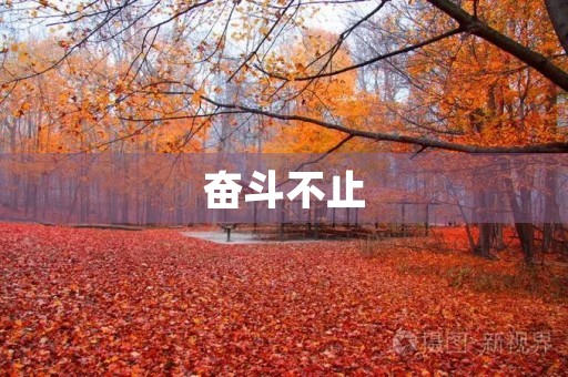 奋斗不止，努力向前