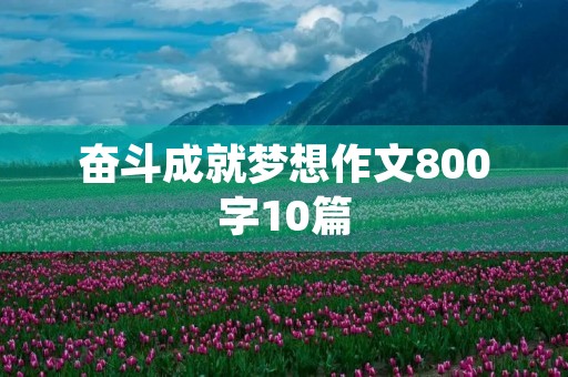 奋斗成就梦想作文800字10篇