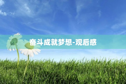 奋斗成就梦想-观后感 奋斗成就梦想-观后感