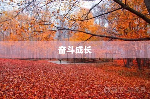 奋斗成长,精彩人生 奋斗成长,精彩人生