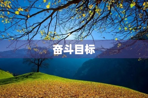 奋斗目标 奋斗目标