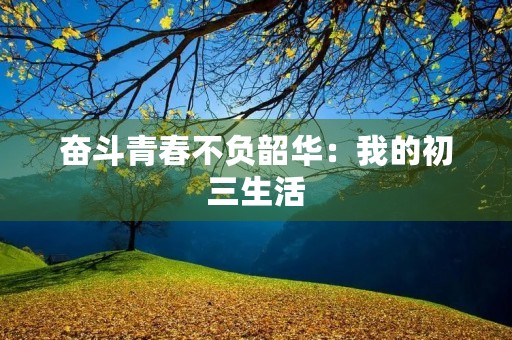 奋斗青春不负韶华:我的初三生活 奋斗青春不负韶华:我的初三生活