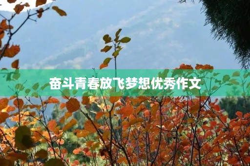 奋斗青春放飞梦想优秀作文 奋斗青春放飞梦想优秀作文
