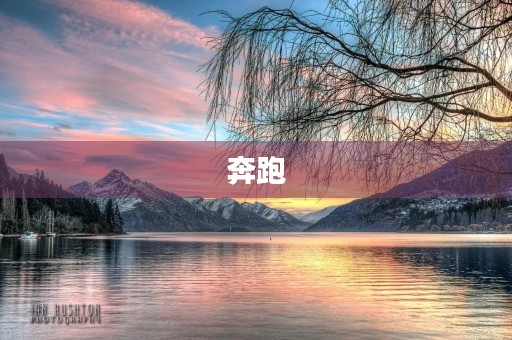 奔跑,让我们拥抱自由与** 奔跑,让我们拥抱自由与**