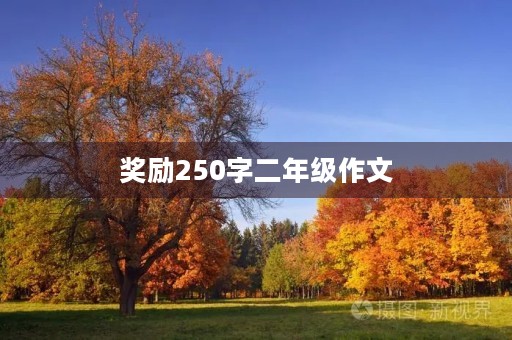 奖励250字二年级作文