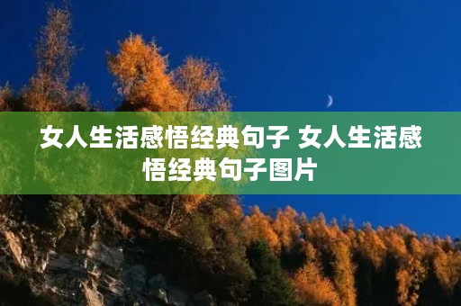 女人生活感悟经典句子 女人生活感悟经典句子图片