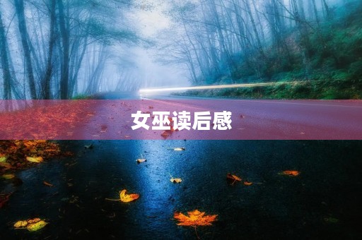 女巫读后感 女巫读后感