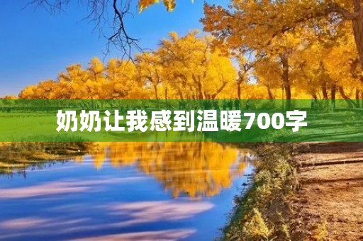 奶奶让我感到温暖700字 奶奶让我感到温暖700字