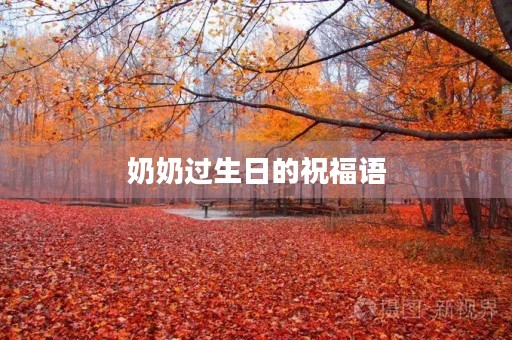 奶奶过生日的祝福语，奶奶过寿精彩句子