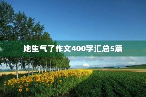 她生气了作文400字汇总5篇 她生气了作文400字汇总5篇