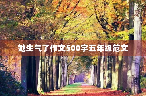 她生气了作文500字五年级范文 她生气了作文500字五年级范文