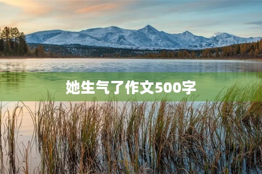 她生气了作文500字 她生气了作文500字