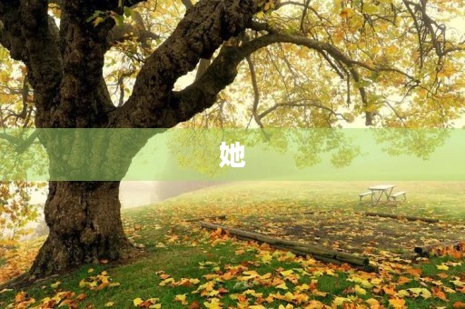 她,悄悄的来了 她,悄悄的来了