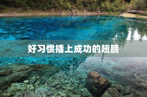好习惯插上成功的翅膀