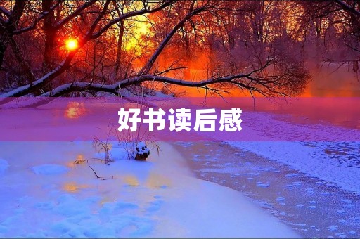 好书读后感 好书读后感