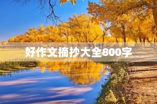 好作文摘抄大全800字