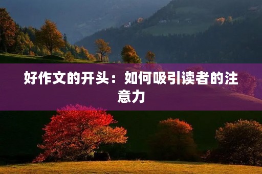 好作文的开头：如何吸引读者的注意力