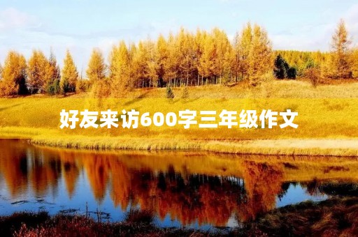 好友来访600字三年级作文 好友来访600字三年级作文