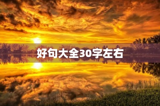 好句大全30字左右，好句大全30字左右小学生