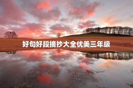 好句好段摘抄大全优美三年级(好词好句好段摘抄大全优美三年级) 好句好段摘抄大全优美三年级(好词好句好段摘抄大全优美三年级)
