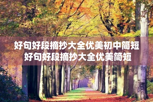 好句好段摘抄大全优美初中简短 好句好段摘抄大全优美简短 好句好段摘抄大全优美初中简短 好句好段摘抄大全优美简短