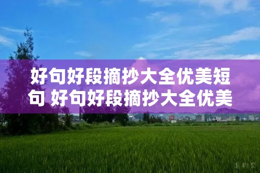 好句好段摘抄大全优美短句 好句好段摘抄大全优美短句三年级