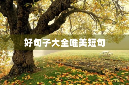 好句子大全唯美短句,好句子大全唯美短句10字 好句子大全唯美短句,好句子大全唯美短句10字