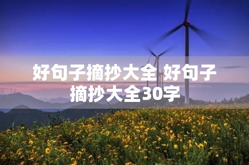 好句子摘抄大全 好句子摘抄大全30字 好句子摘抄大全 好句子摘抄大全30字