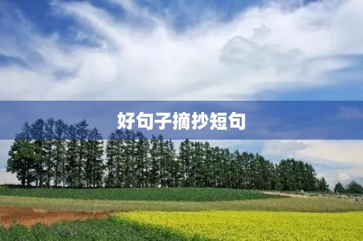 好句子摘抄短句(写景的好句子摘抄短句)