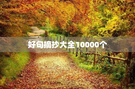 好句摘抄大全10000个(好句摘抄大全10000个短句)