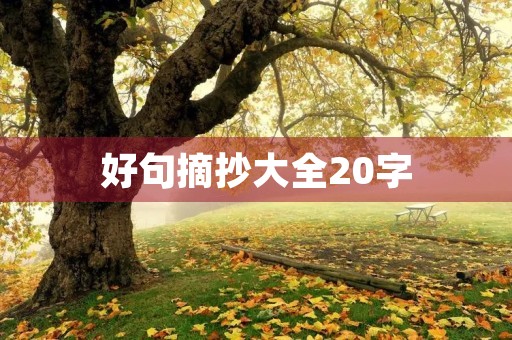 好句摘抄大全20字,好句摘抄大全20字左右优美 好句摘抄大全20字,好句摘抄大全20字左右优美