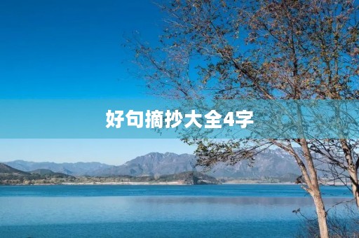 好句摘抄大全4字，好句摘抄大全40字