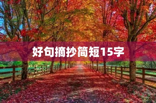 好句摘抄简短15字，好句摘抄简短15字励志