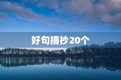 好句摘抄20个(好句摘抄20个字左右) 好句摘抄20个(好句摘抄20个字左右)