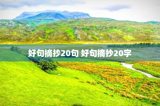 好句摘抄20句 好句摘抄20字