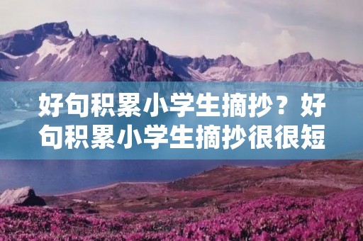 好句积累小学生摘抄？好句积累小学生摘抄很很短