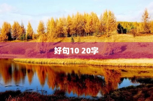 好句10 20字(好句20字) 好句10 20字(好句20字)