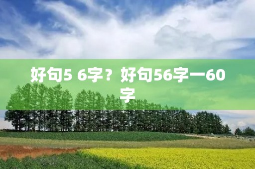 好句5 6字?好句56字一60字 好句5 6字?好句56字一60字