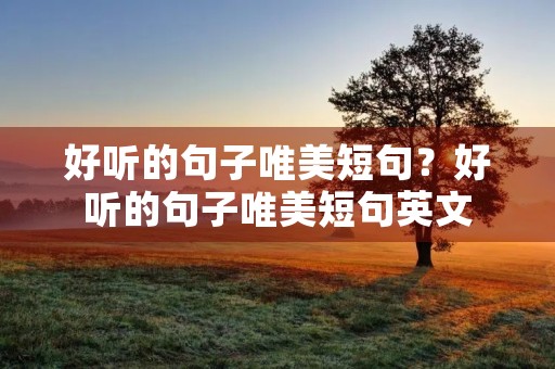 好听的句子唯美短句？好听的句子唯美短句英文
