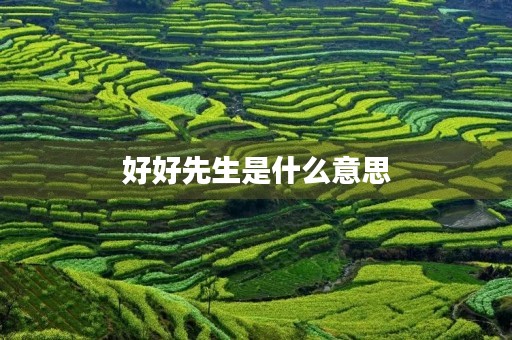 好好先生是什么意思 好好先生是什么意思