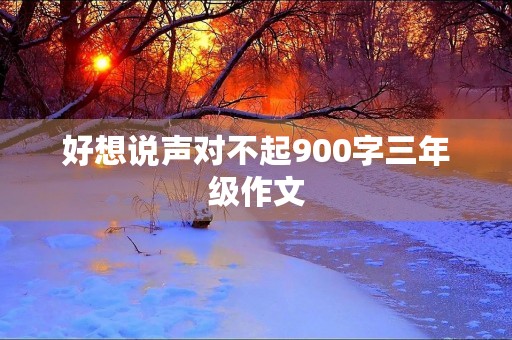 好想说声对不起900字三年级作文