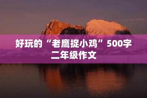 好玩的“老鹰捉小鸡”500字二年级作文