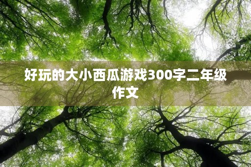 好玩的大小西瓜游戏300字二年级作文