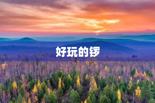 好玩的锣