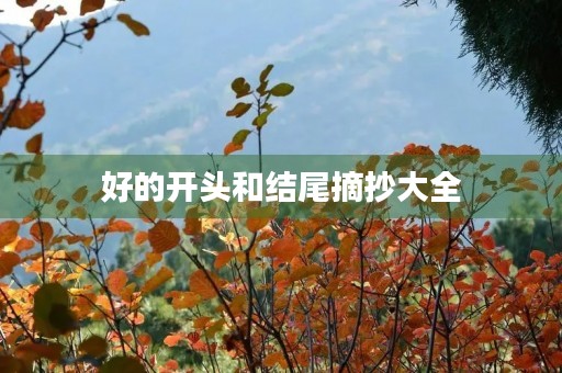 好的开头和结尾摘抄大全