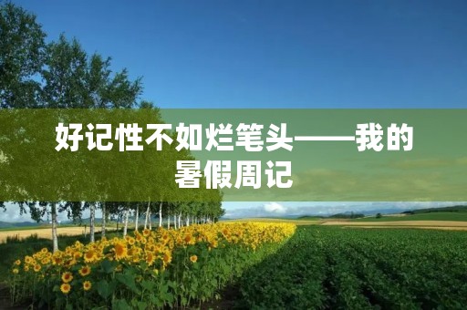 好记性不如烂笔头——我的暑假周记 好记性不如烂笔头——我的暑假周记
