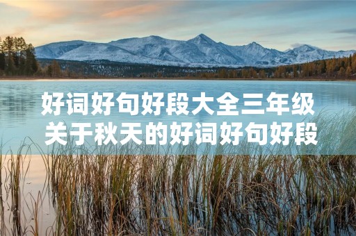 好词好句好段大全三年级 关于秋天的好词好句好段大全三年级