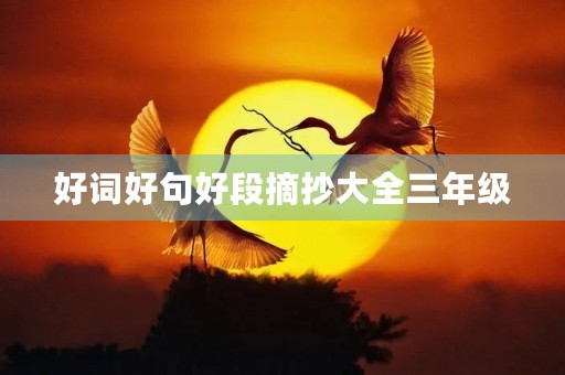 好词好句好段摘抄大全三年级(好词好句好段摘抄大全三年级上册)